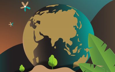 First Benefits of the Sustainability Strategy