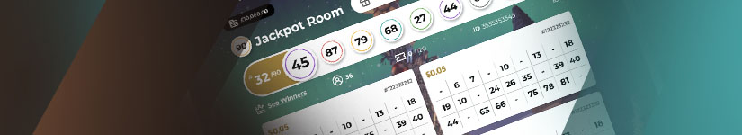 bingo layout and gameplay on www.skycitycasino.com