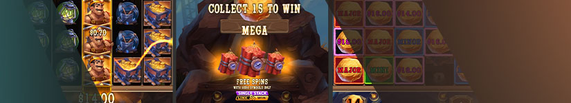 Free Spins Feature