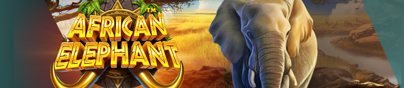 Top Online Pokies including African Elephant