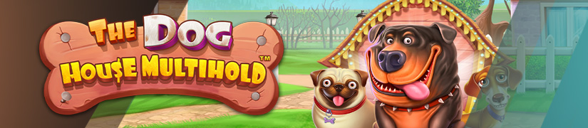 The Best online pokies games from pragmatic play include The Dog House Multihold.